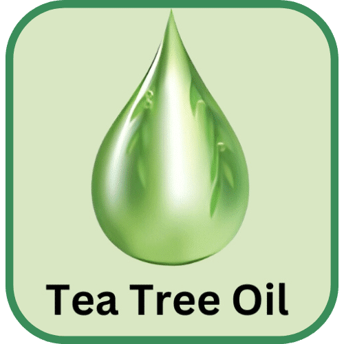 Tea tree Oil
