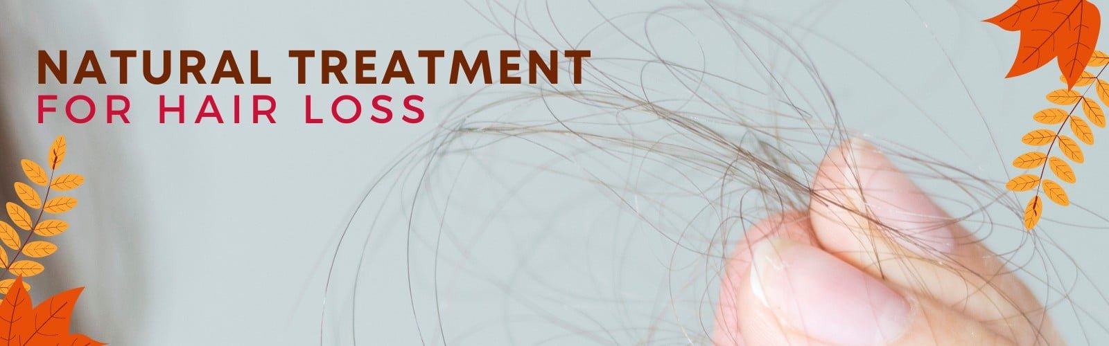 Natural Hair Treatment for Hair Loss