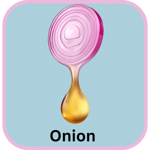 onion