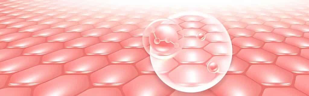 Skin Cell Regenerate Serum Benefits